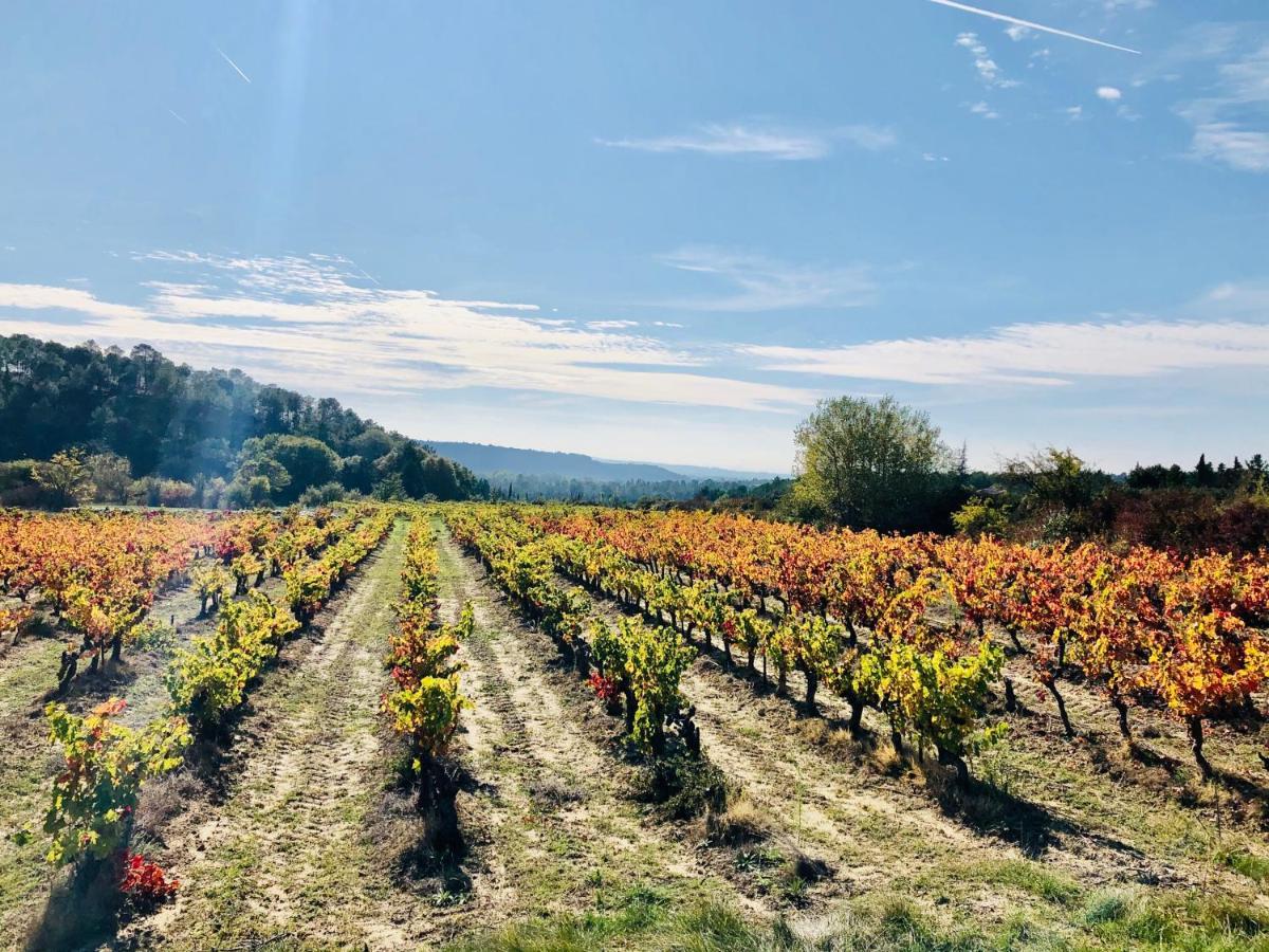 La Maison D Ame - For The Perfect Stay At The Mont Ventoux Malaucène Exteriör bild