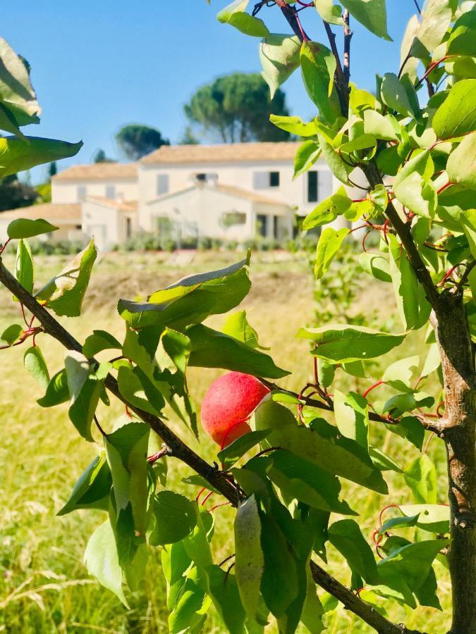 La Maison D Ame - For The Perfect Stay At The Mont Ventoux Malaucène Exteriör bild